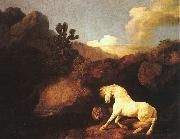 George Stubbs A Horse Frightened by a Lion oil painting picture wholesale